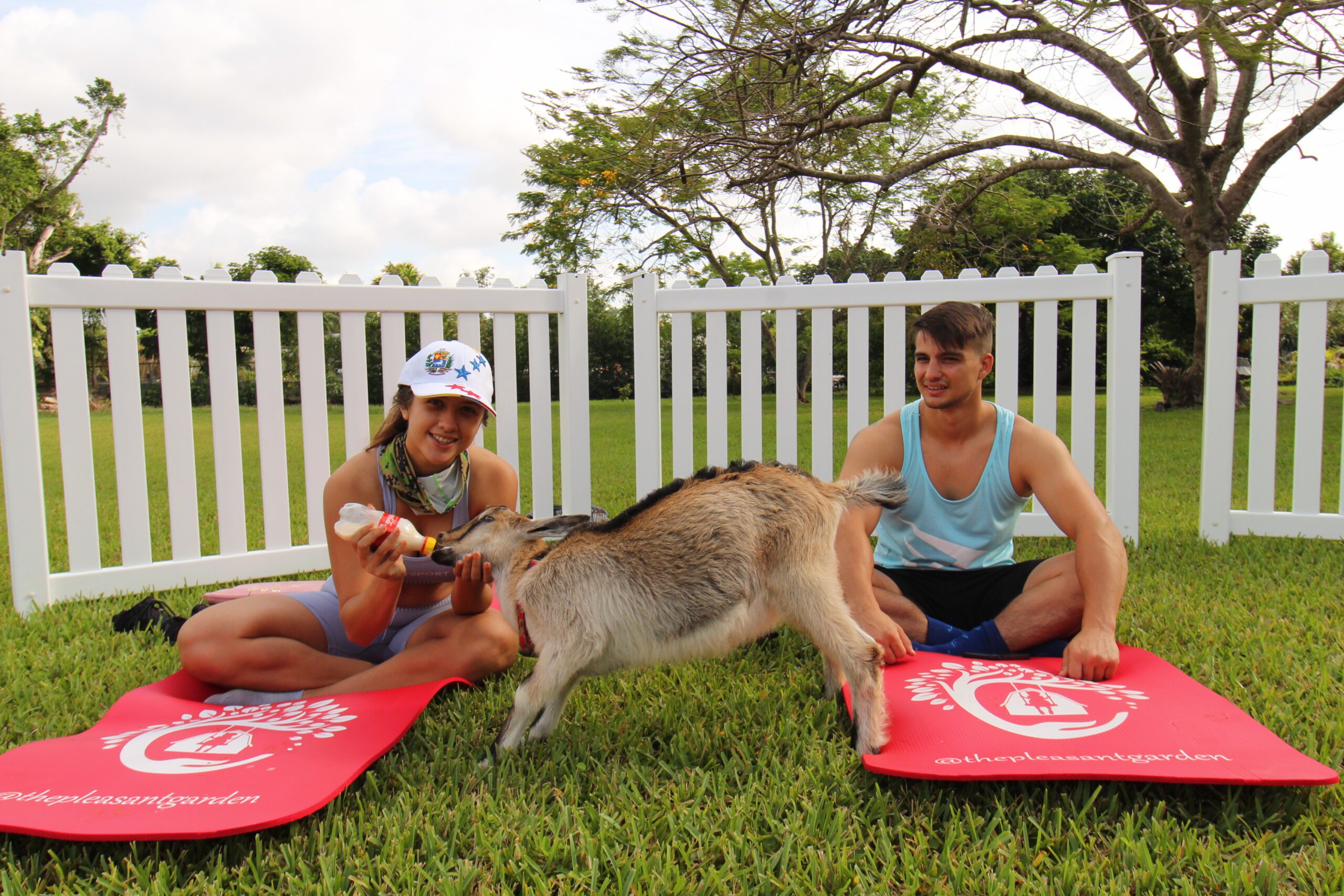 Goat Yoga Event At Pleasant Garden