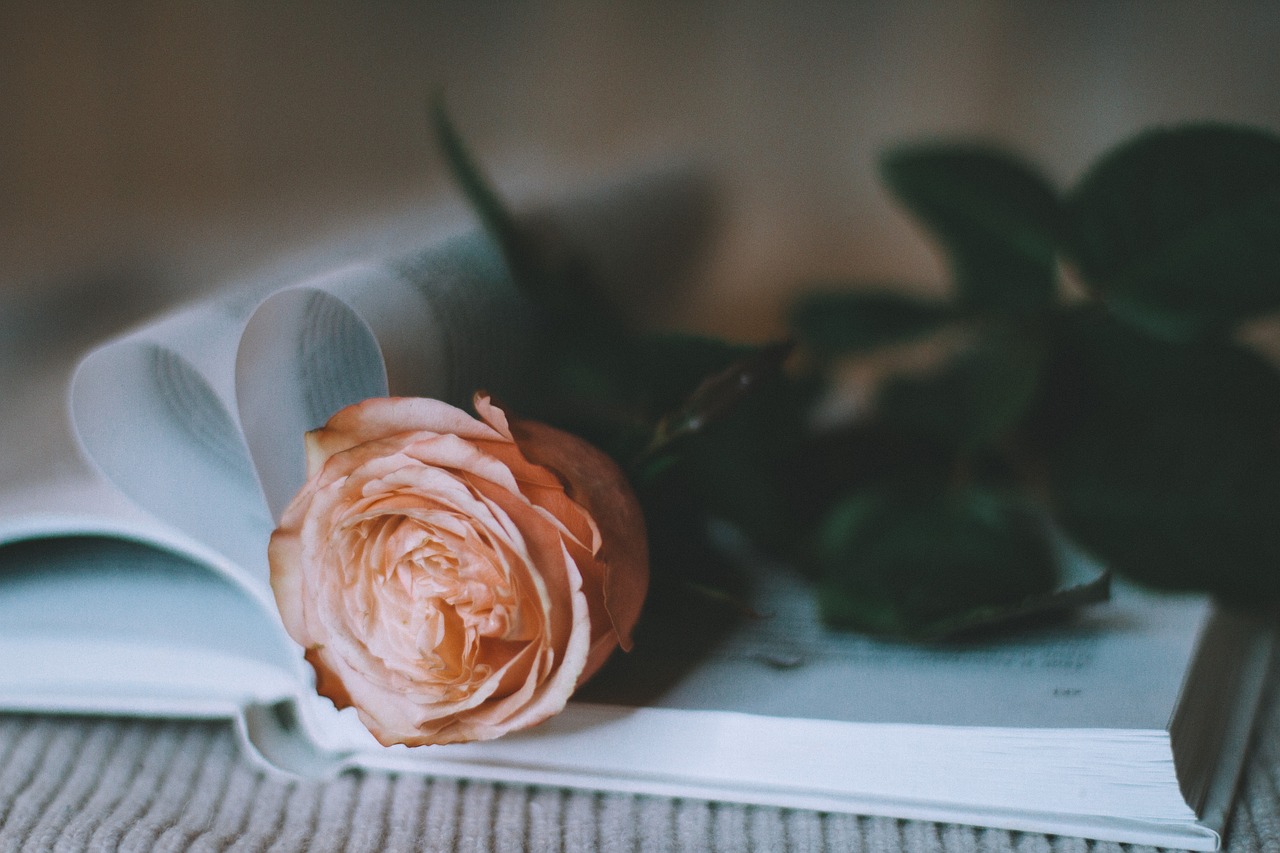 romantic aesthetic picture of flower over book