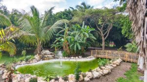 Pond area at the pleasant garden wedding venue